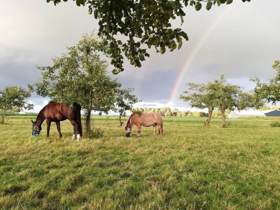 De Kaasmakerij - Ruim Vakantiehuisje Op Huize Blokland Hem Extérieur photo