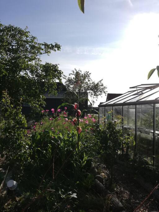 De Kaasmakerij - Ruim Vakantiehuisje Op Huize Blokland Hem Extérieur photo