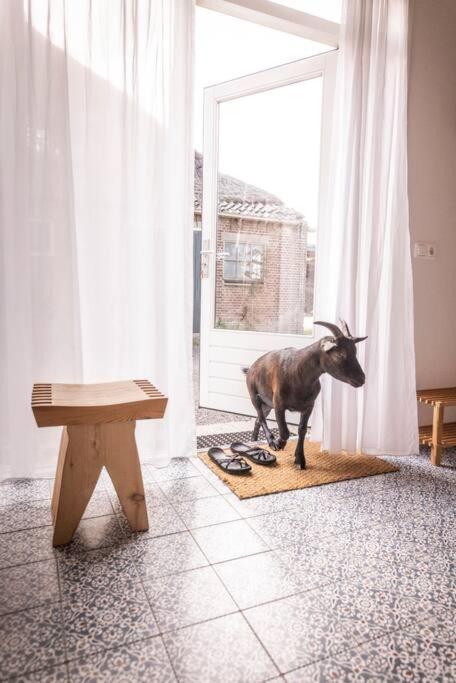 De Kaasmakerij - Ruim Vakantiehuisje Op Huize Blokland Hem Extérieur photo